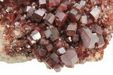 Top-Quality, Deep Red Vanadinite Crystal Cluster - Morocco #231837-2